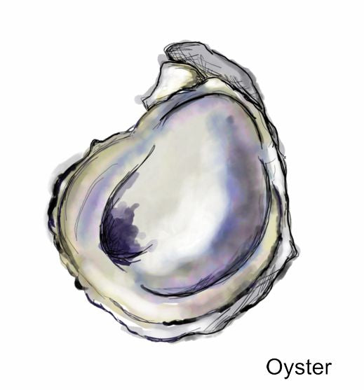 Seafood Salt & Pepper Shakers (range style)