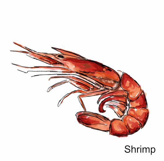 Seafood Salt & Pepper Shakers (range style)